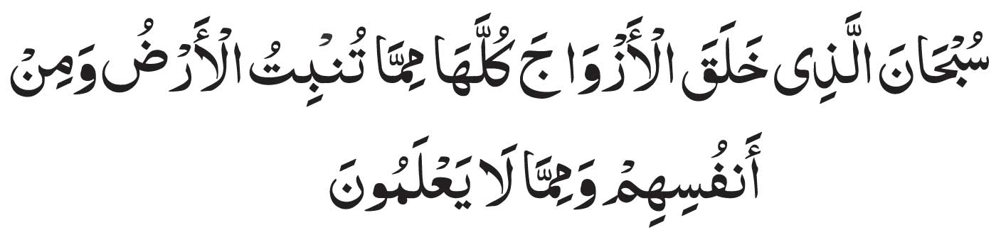 surah yasin ayat 36 arabic